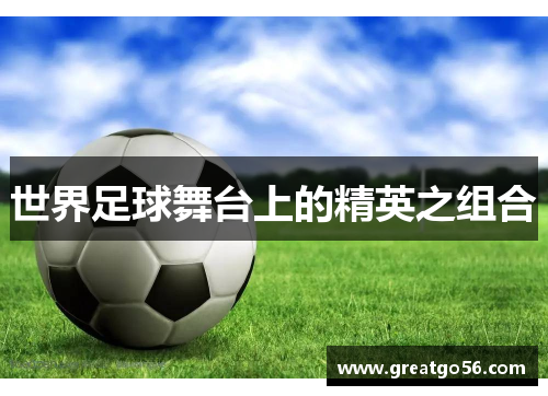 世界足球舞台上的精英之组合