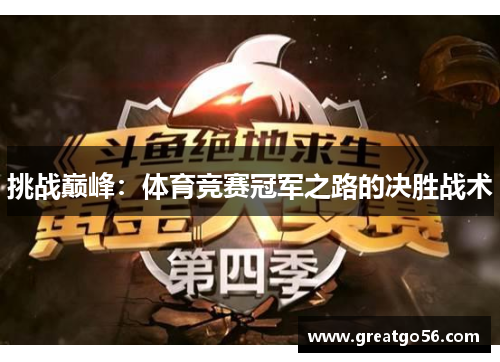 挑战巅峰：体育竞赛冠军之路的决胜战术